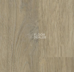 Линолеум Forbo SureStep Decibel 71896/718962 whitewash oak фото 1 | FLOORDEALER